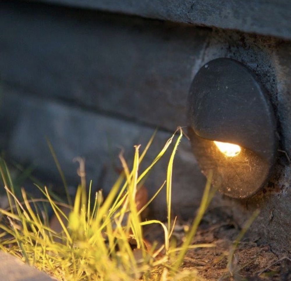 A light is shining on a patch of grass