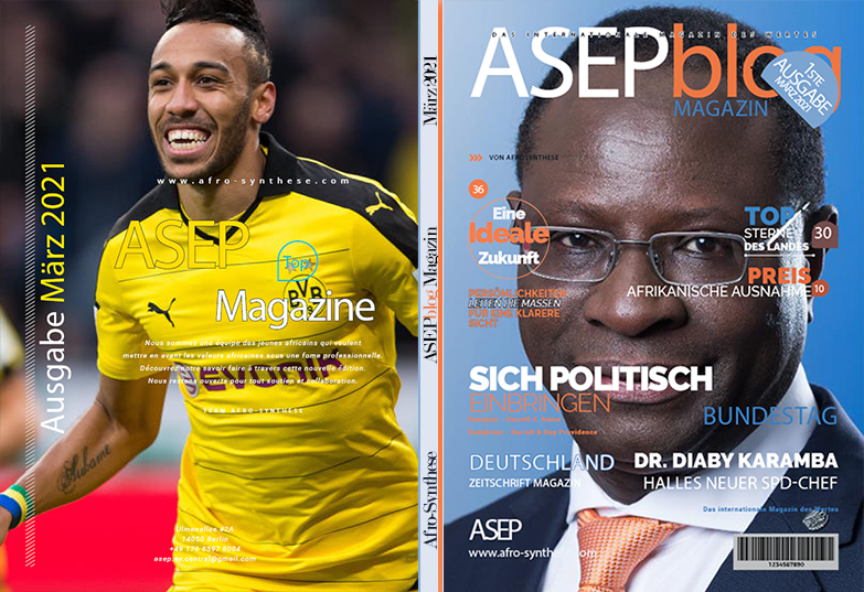 Afro-Synthese braucht Redakteure