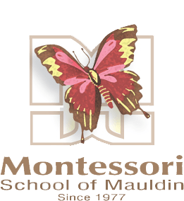 Montessori School of Mauldin