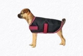 Dog coats