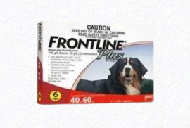 frontline plus