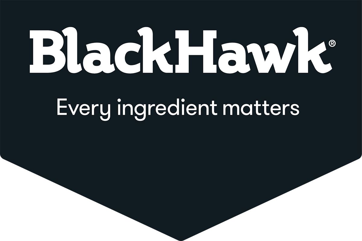 BlackHawk logo: white text on a black pentagon, stating 