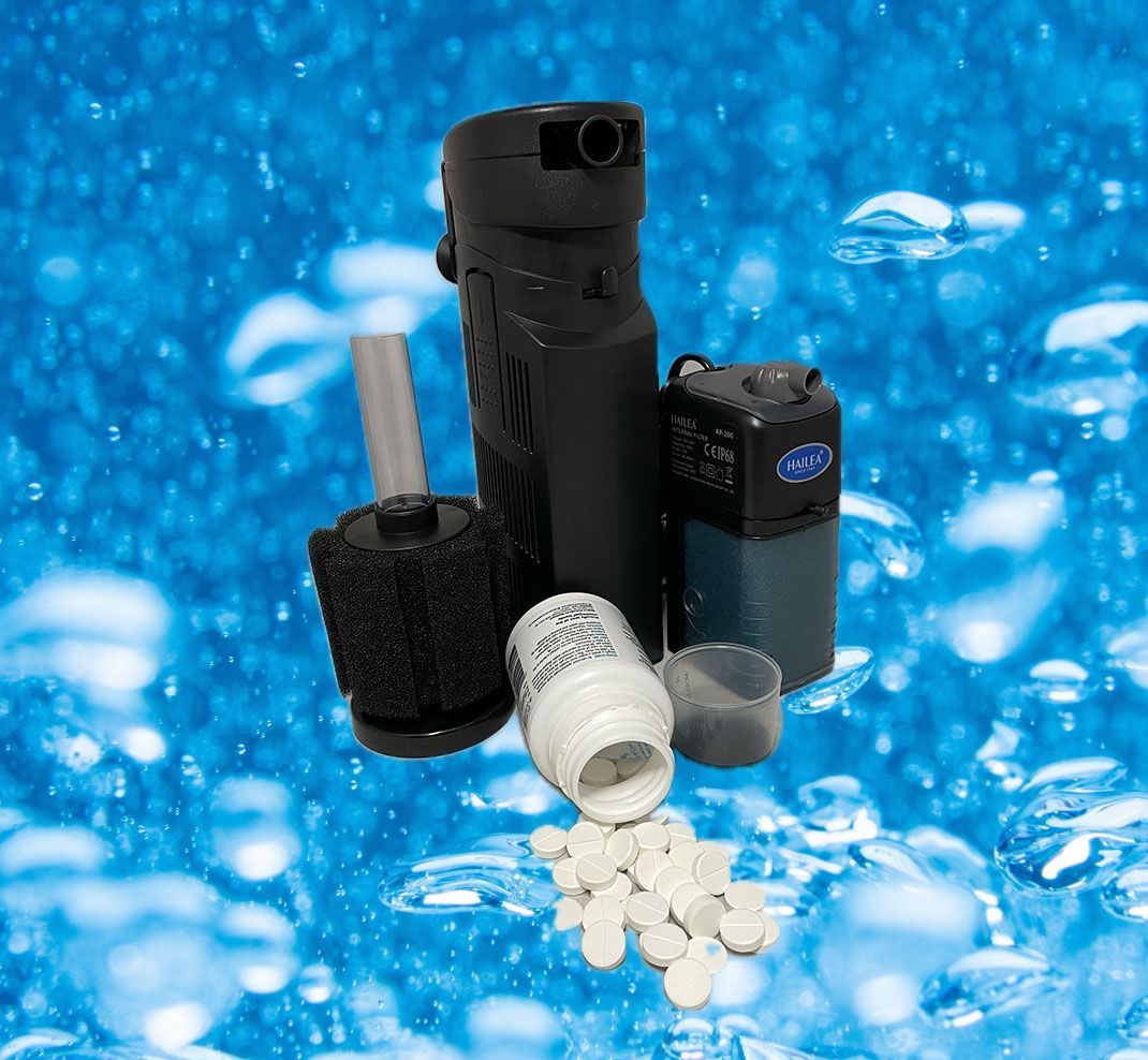 Cat reaching for a small piece of food on a white table near a window.