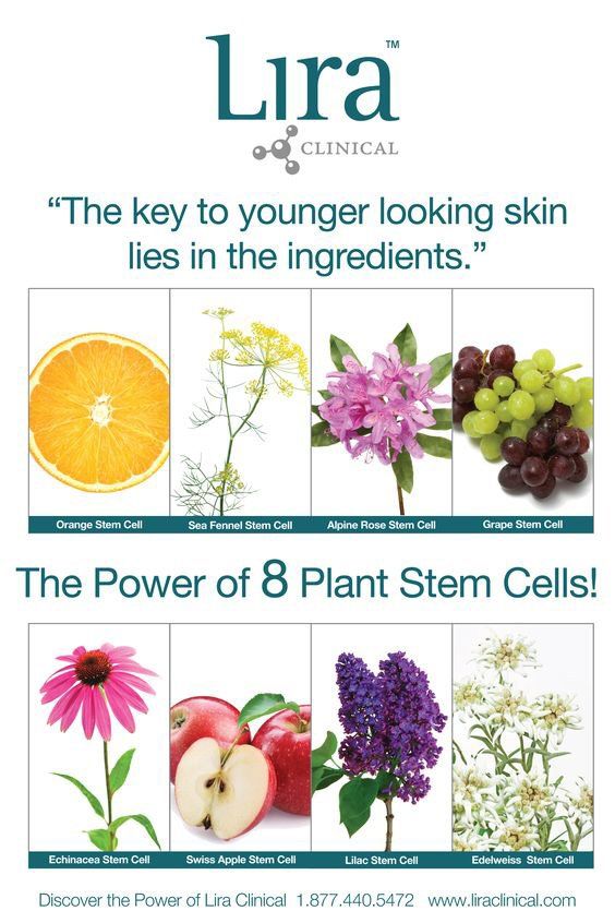 Lira clinic brochure