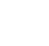 Solid State Systems logo