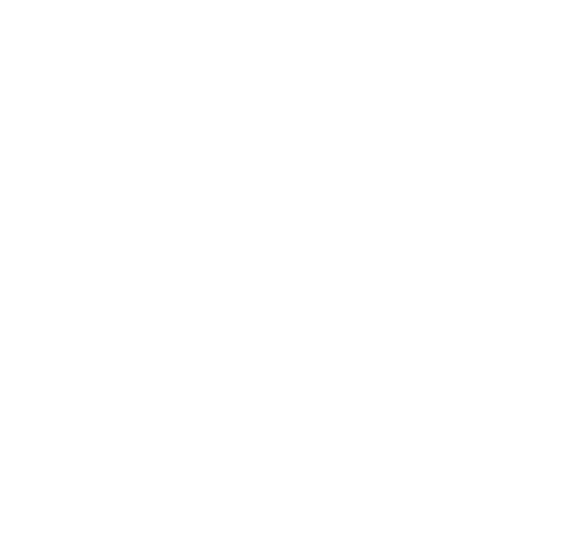 Solid State Systems logo