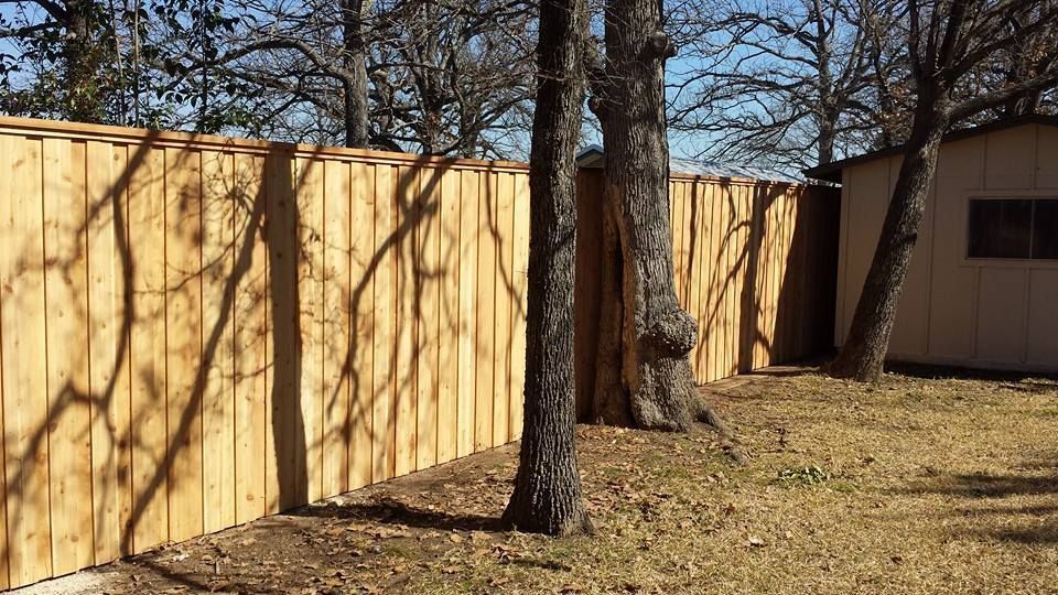 A wooden fence is surrounded by trees in a backyard.