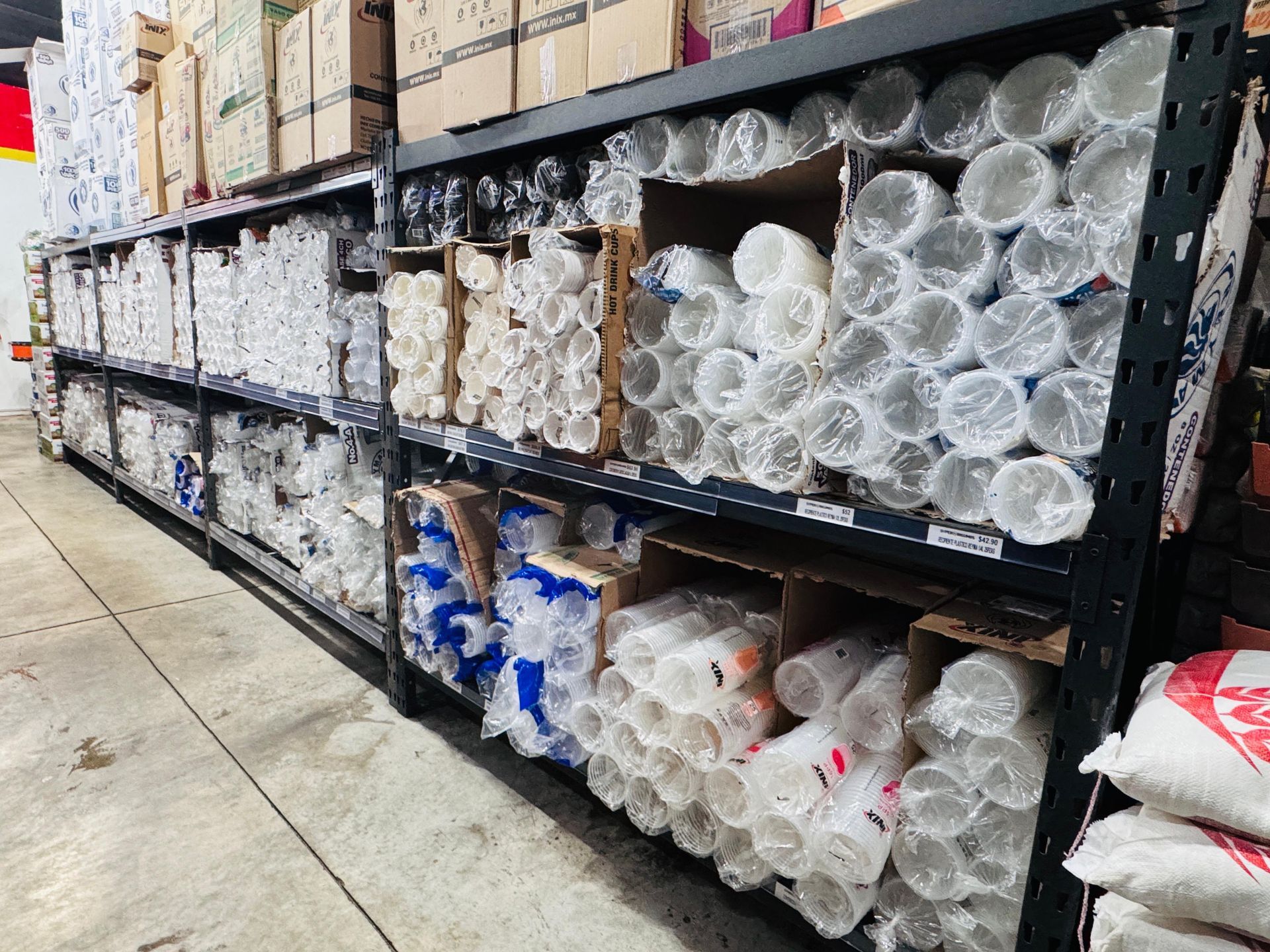 Presentación profesional