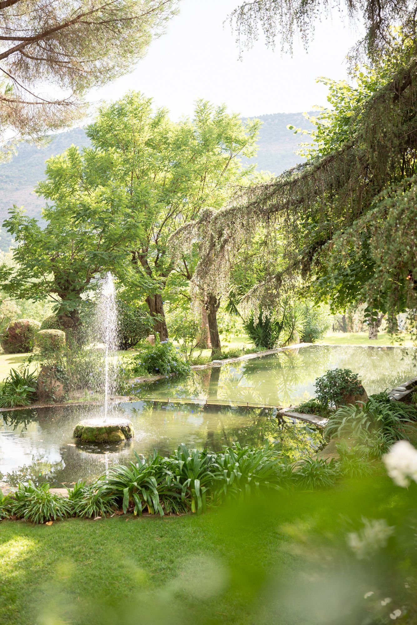 Les jardins du Domaine de Riodam lors d'un mariage