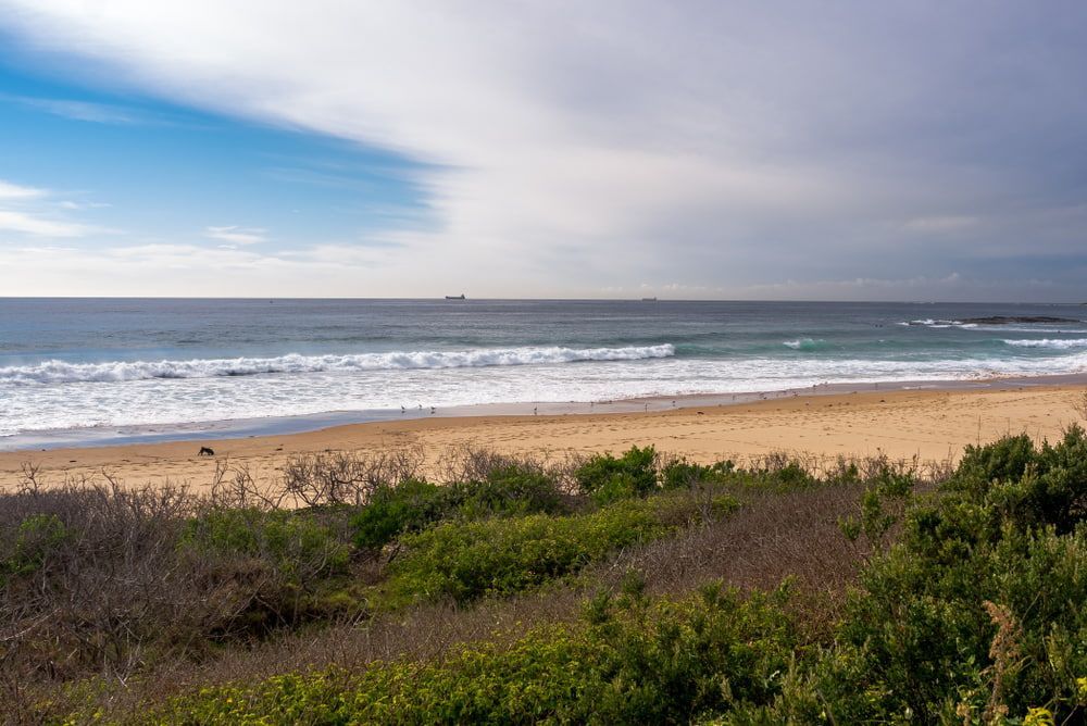 A Serene Blue Sky Filled With Fluffy White Clouds — Local Pest Control Illawarra in Bulli, NSW