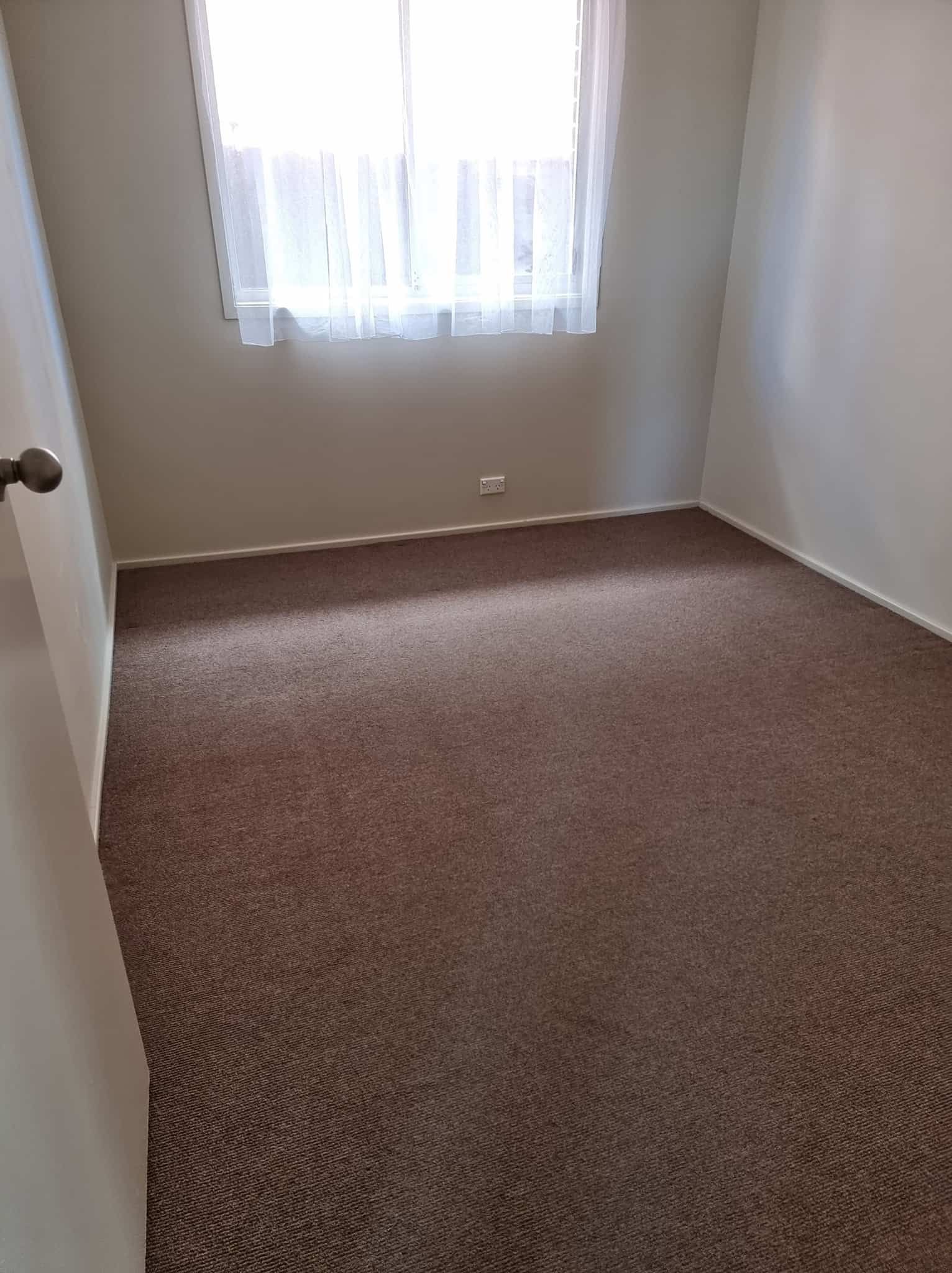 An Empty Bedroom With A Brown Carpet And A Window — Local Pest Control Illawarra in Balgownie, NSW