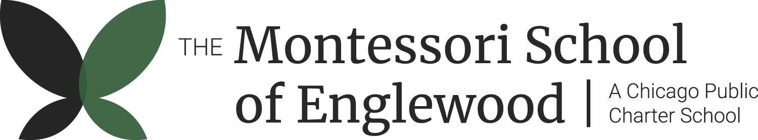 The Montessori School of Englewood