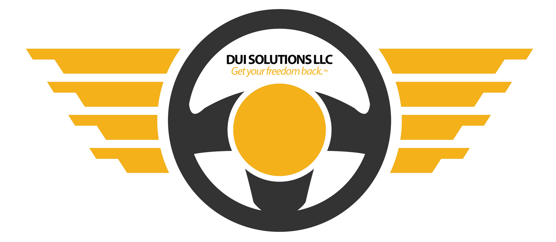 DWI/DUI CLASSES LIVE - Nationwide DWI & DUI CLASSES to get your life back.