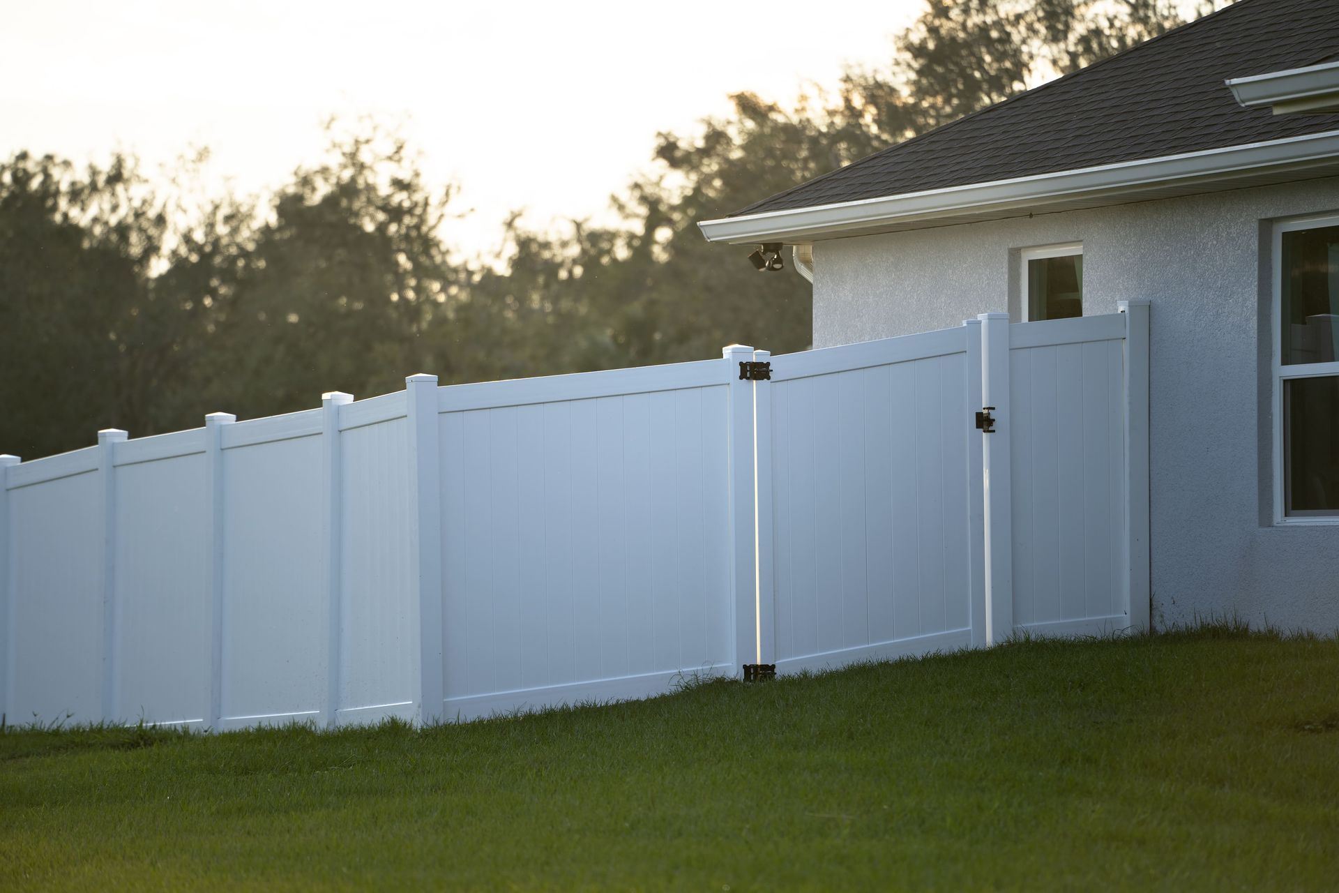 backyard fence