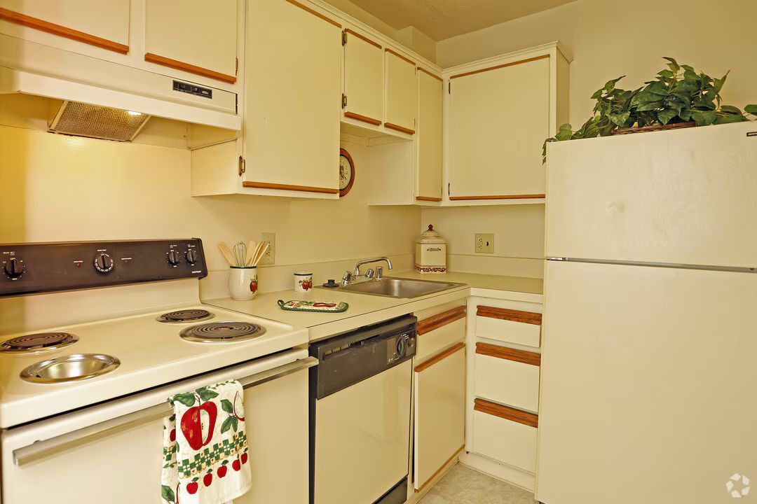 A kitchen with a stove , refrigerator , dishwasher and sink.