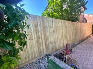 Fencing and decking