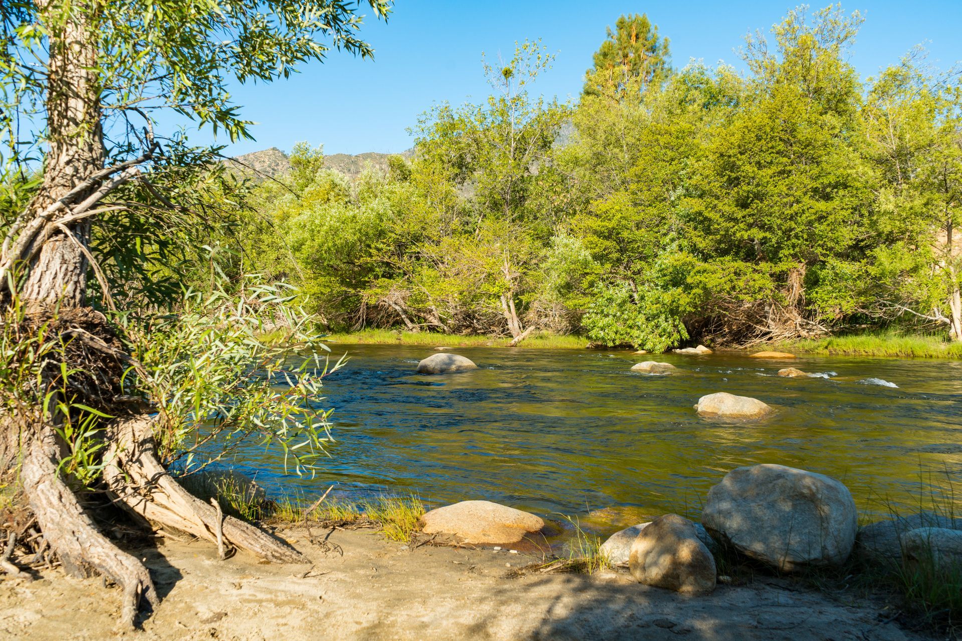 A river surrounded by trees and rocks on a sunny day.