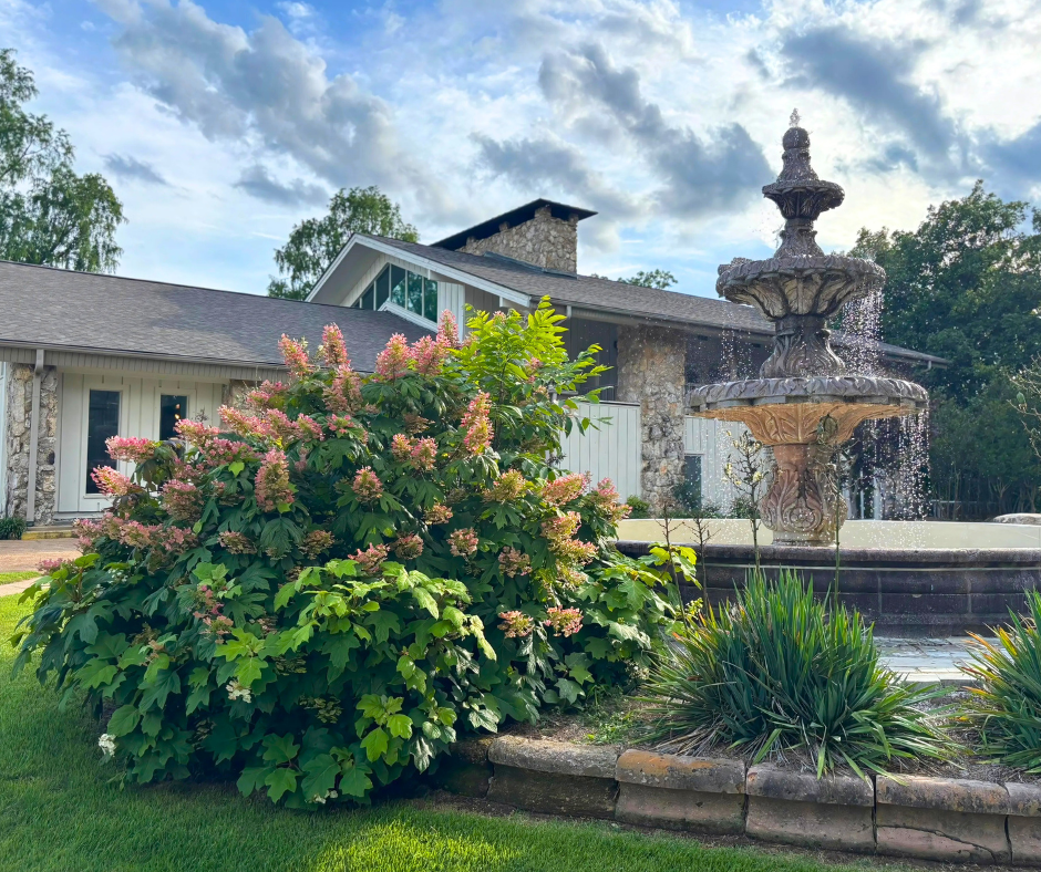 Front of building with fountain and plants.