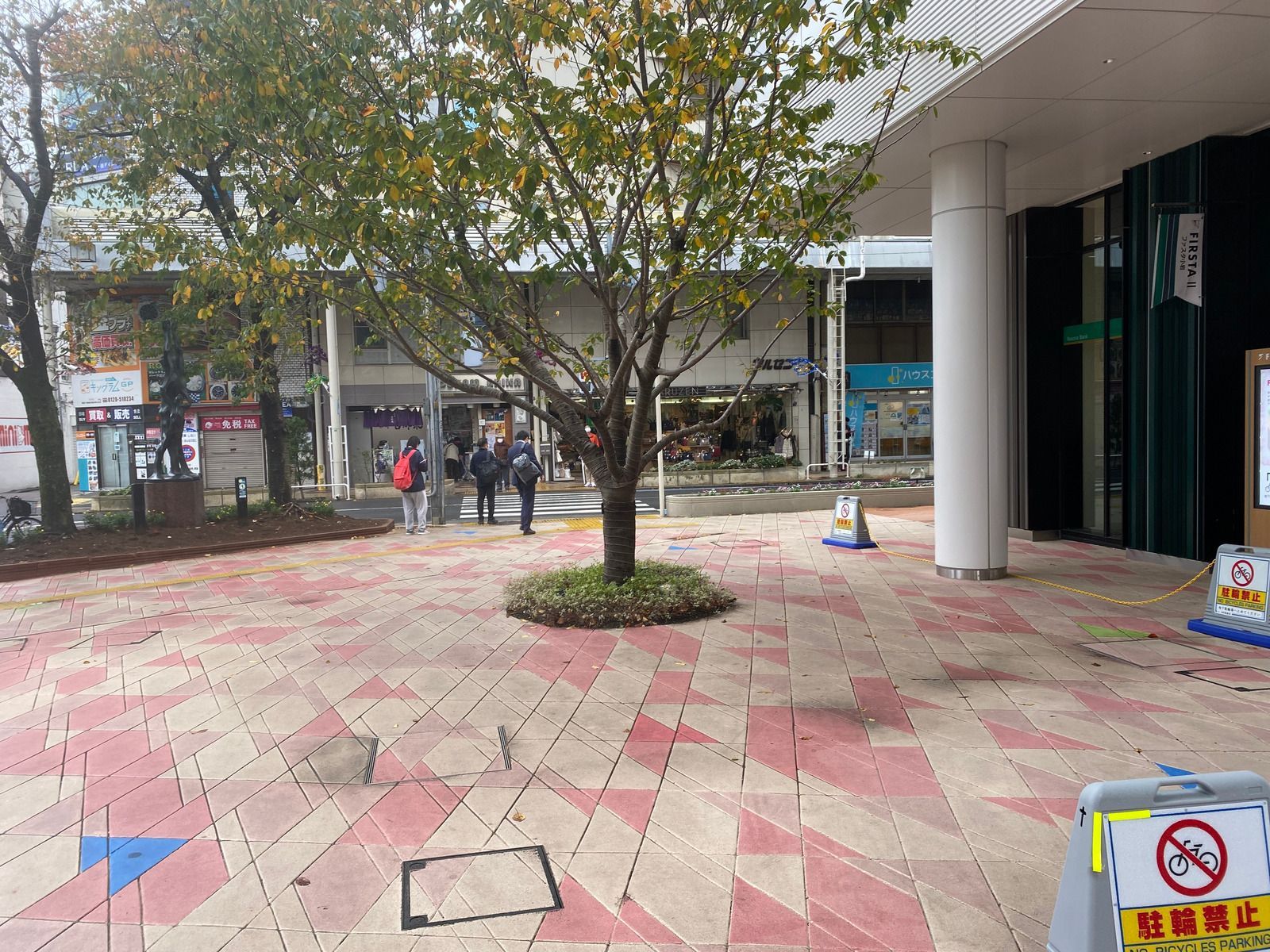 A tree sits in the center of a paved plaza with red and beige geometric patterns near building entrances.