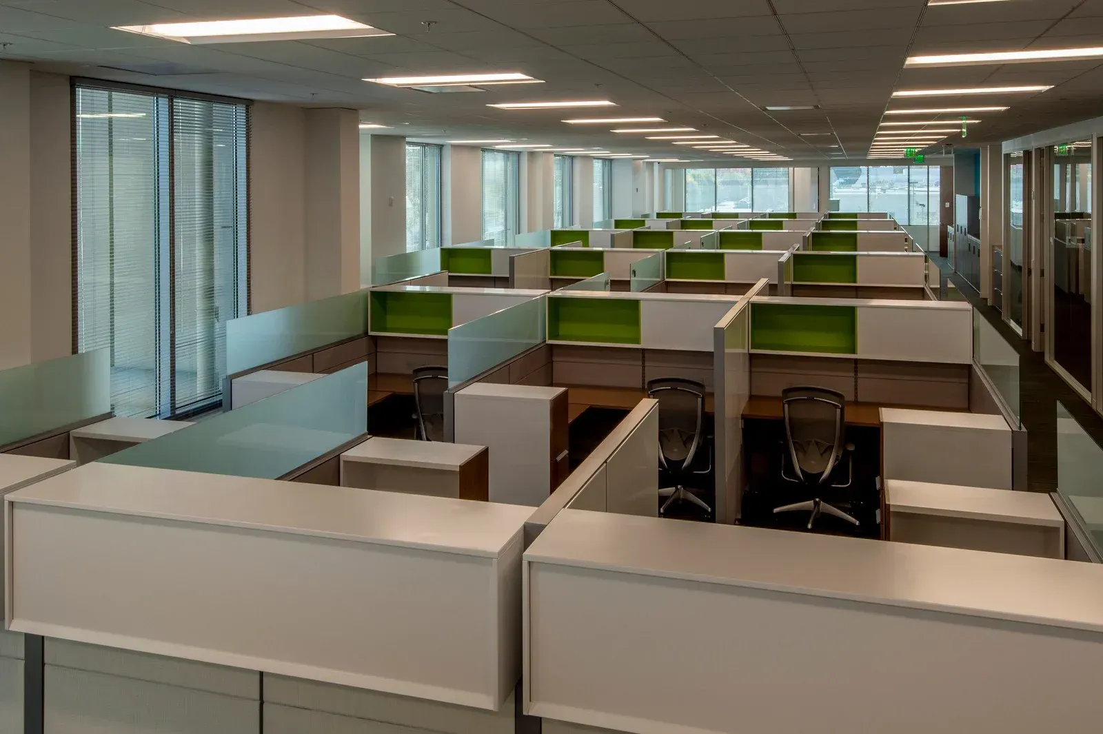 An empty office space with rows of cubicles featuring white desks and bright green partitions under recessed lighting.