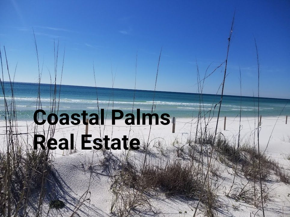 White sand beach with blue ocean and sky, with sea oats in the foreground.