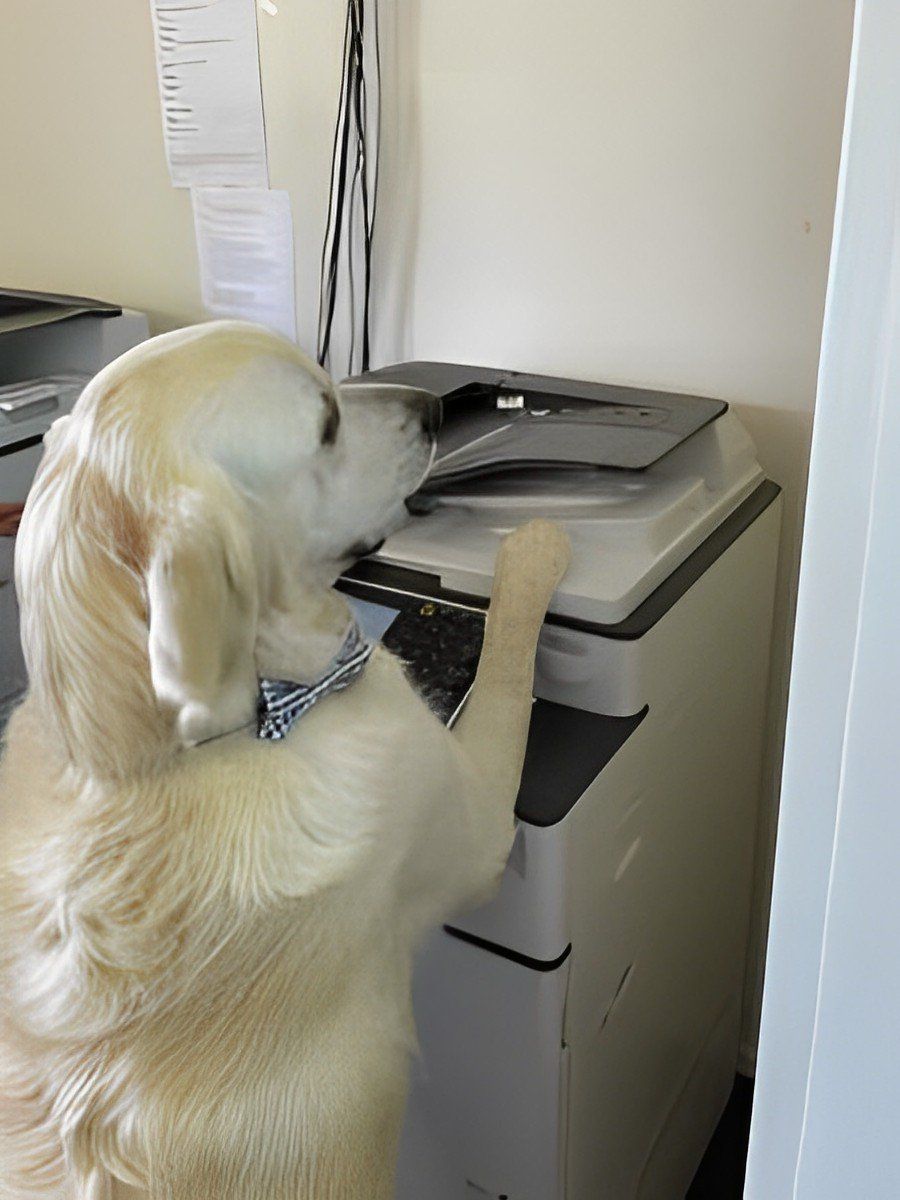 Milo — Mortgage Brokers In Mundingburra, QLD