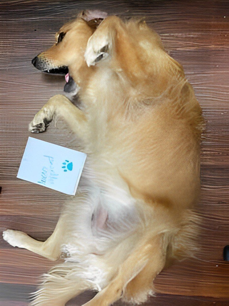 Mindy — Mortgage Brokers In Mundingburra, QLD