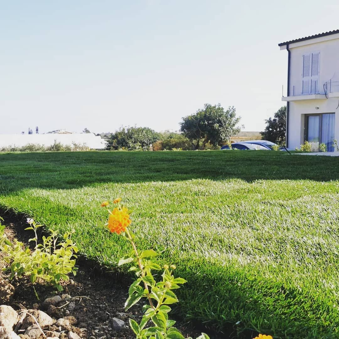 Fiori gialli a fuoco, ampio prato verde, casa bianca con balcone sullo sfondo sotto il cielo azzurro.
