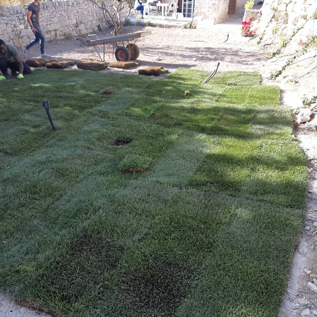 Zolle erbose appena posate in un cortile, che coprono parzialmente un'area sterrata; le persone stanno lavorando.