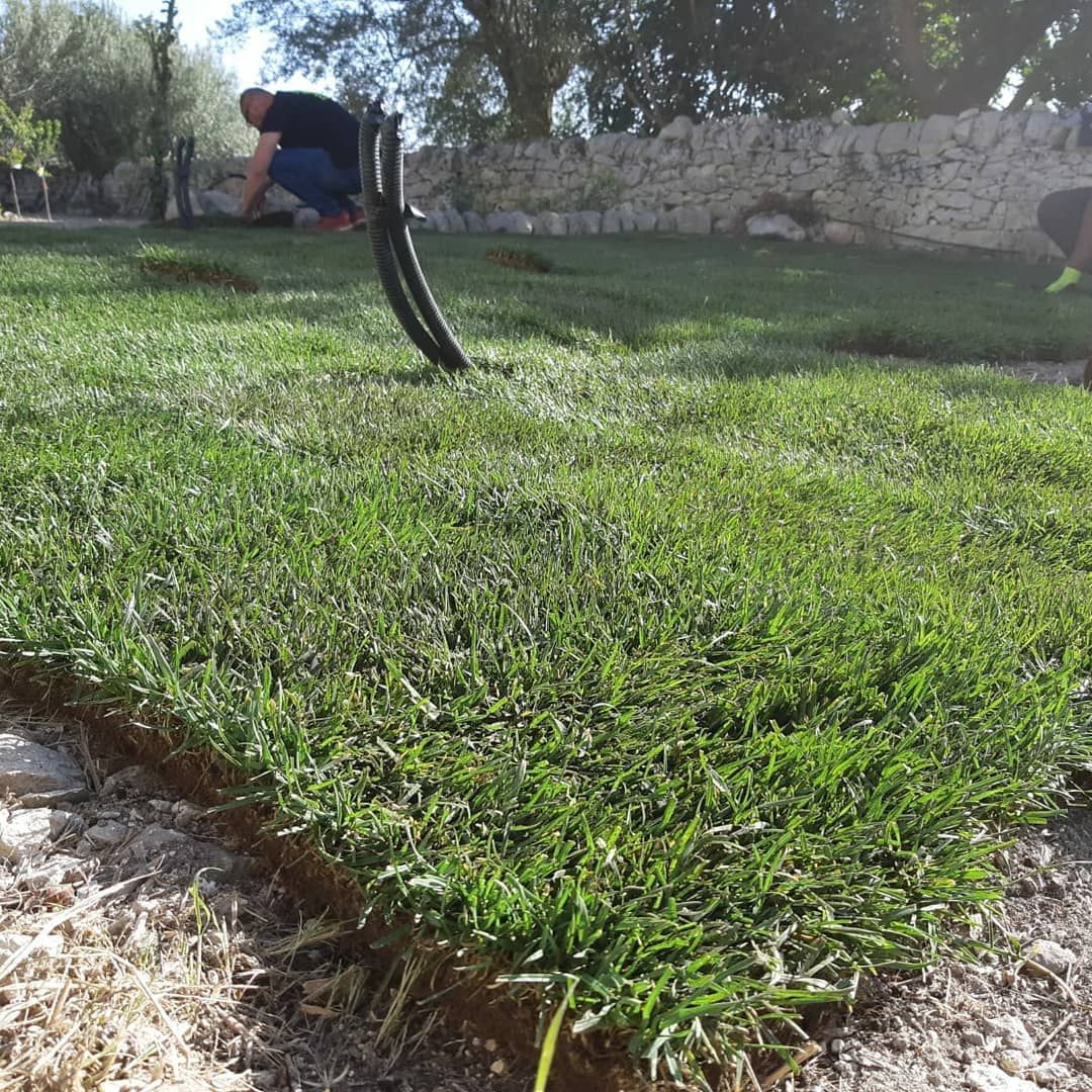 Ciuffo di erba verde nel cortile; sullo sfondo una persona che se ne prende cura.