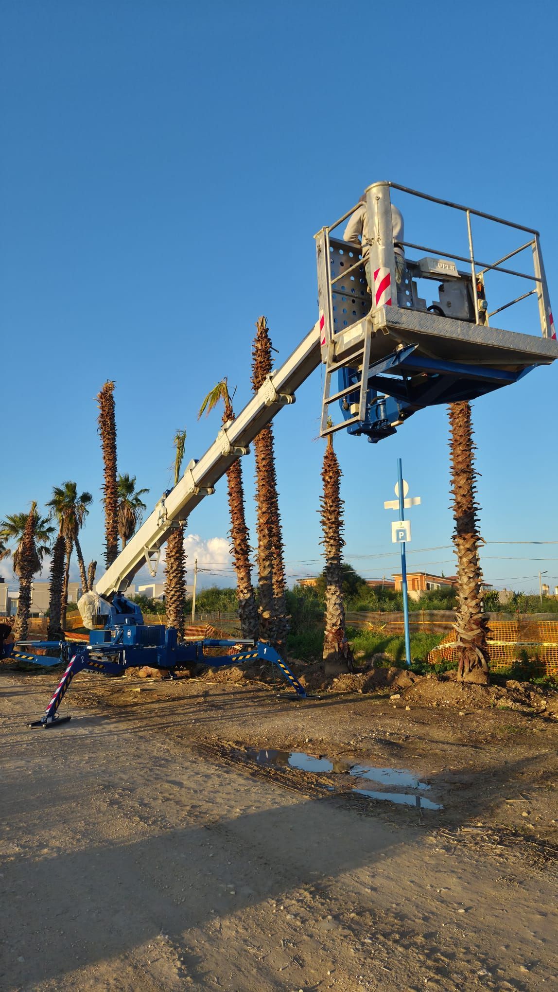 Piattaforma elevatrice blu rivolta verso le palme. Probabilmente qualcuno sta lavorando in quota. All'aperto, sotto un cielo azzurro.