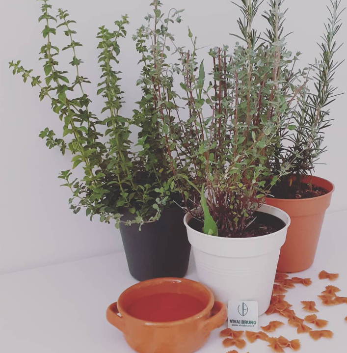 Mano che tiene tre frutti di guava gialli con foglie verdi.