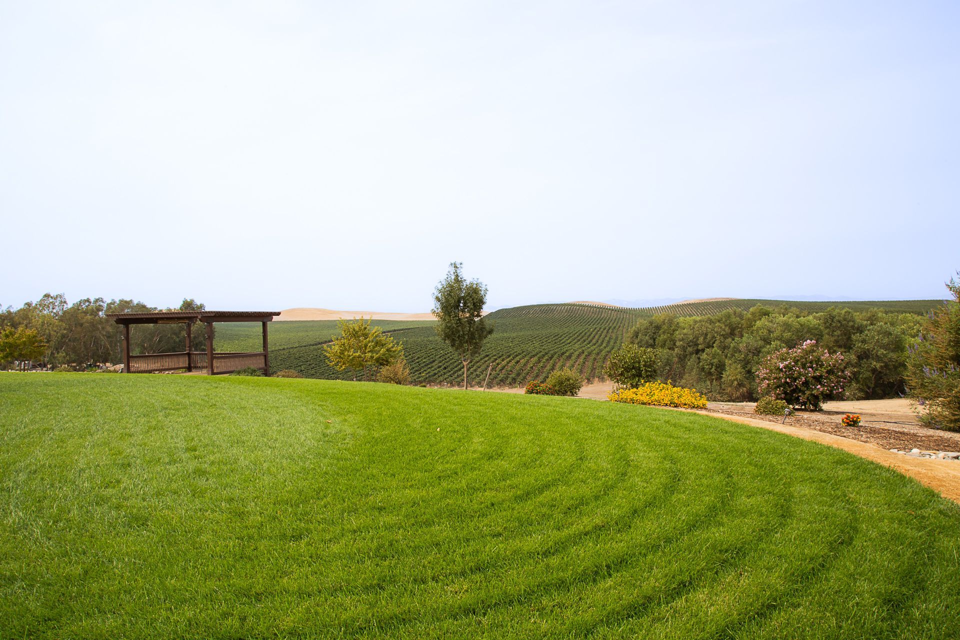 a large lush green field with a wooden structure in the background .