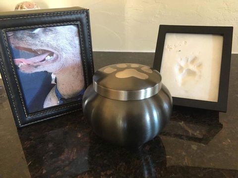 Pet Cremation - Man With His Dog in Sierra Vista, AZ