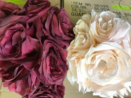 Wide Selections of Rose Bushes