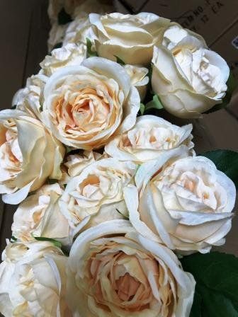 Wide Selections of Rose Bouquets and Bushes