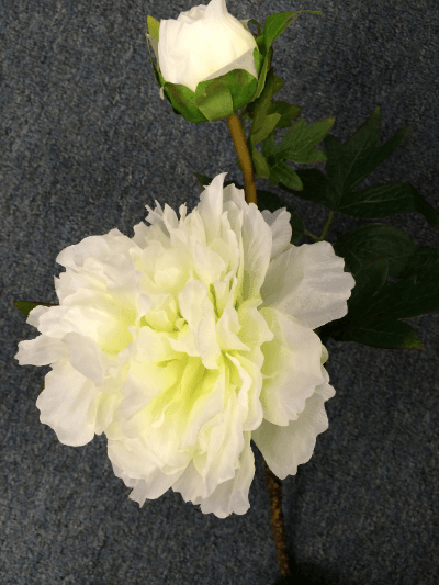 Peony