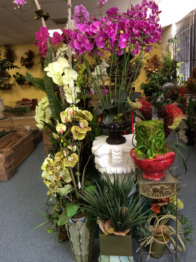 Orchid Arrangement