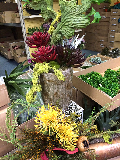 Succulent Arrangement