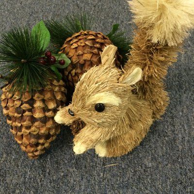 Squirrel and Pine Cones