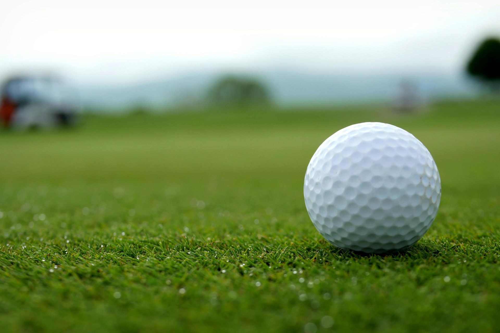 A golf ball is sitting on the green of a golf course.