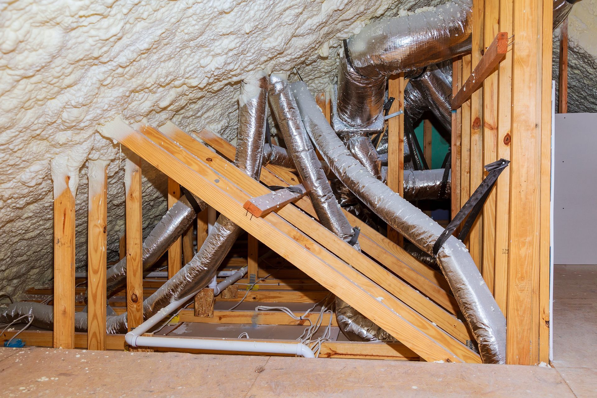 attic with dead animal that need to be removed 