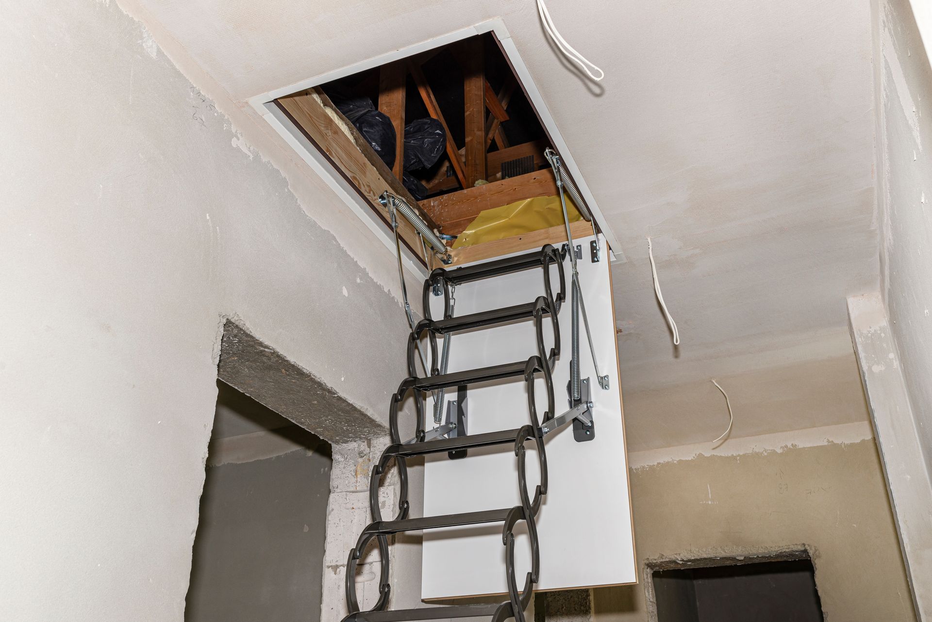 attic inspection service in FL