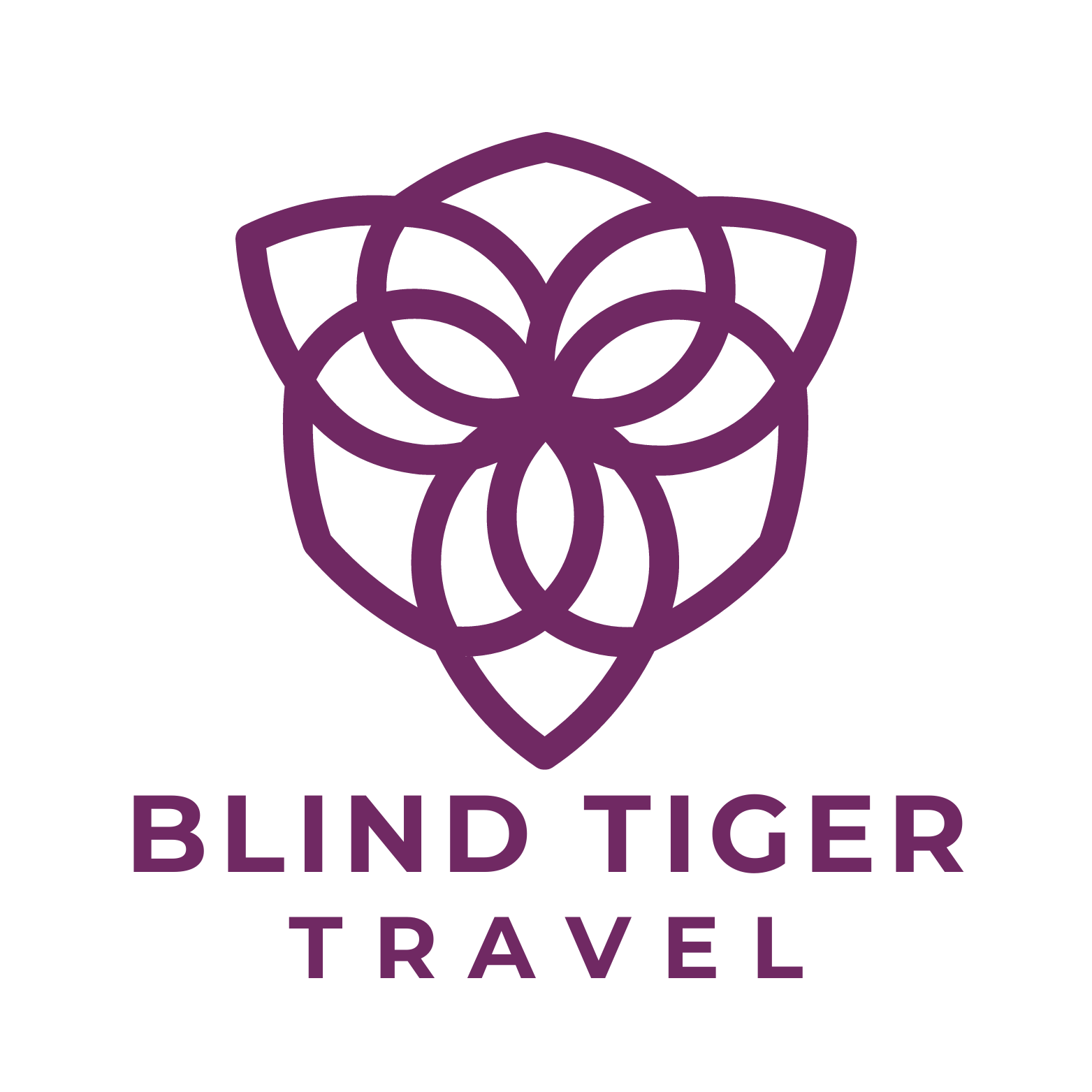 We are a boutique consulting firm that works with travel agents and agencies in optimizing their lead generation process.