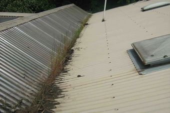 roof gutters of commercial building