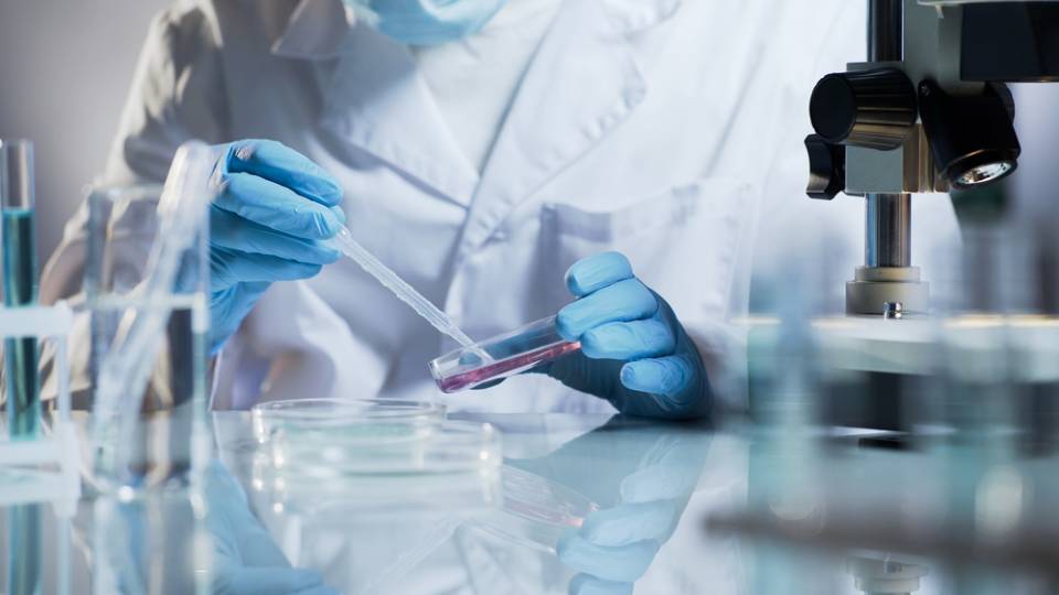 Esame Emoglobina Glicosilata