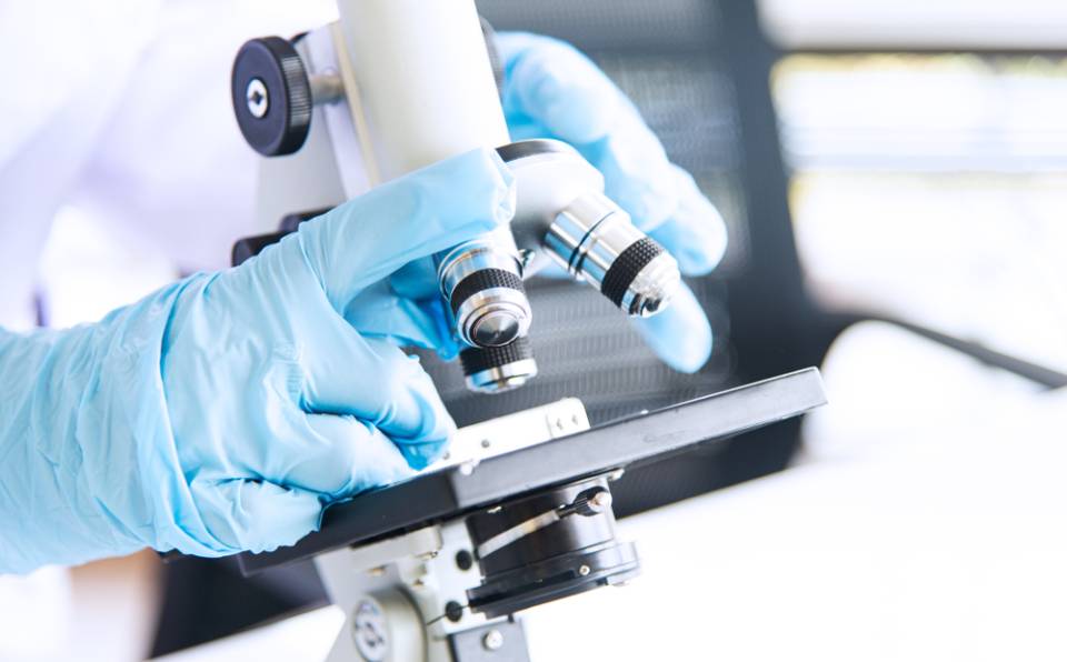 Dettaglio microscopio