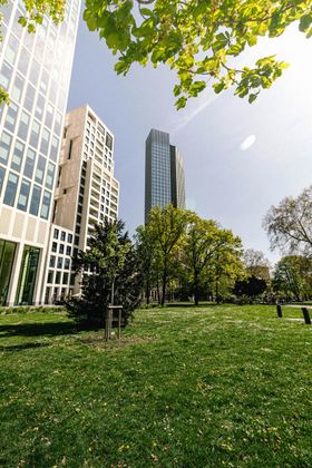 Green park with buildings, trees and grass on a sunny day.