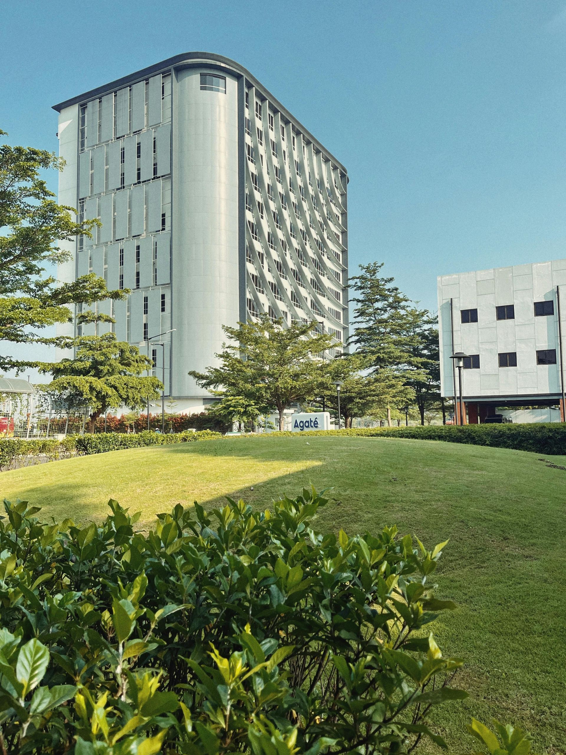Modern building with curved front and vertical windows, viewed from a grassy area on a sunny day.