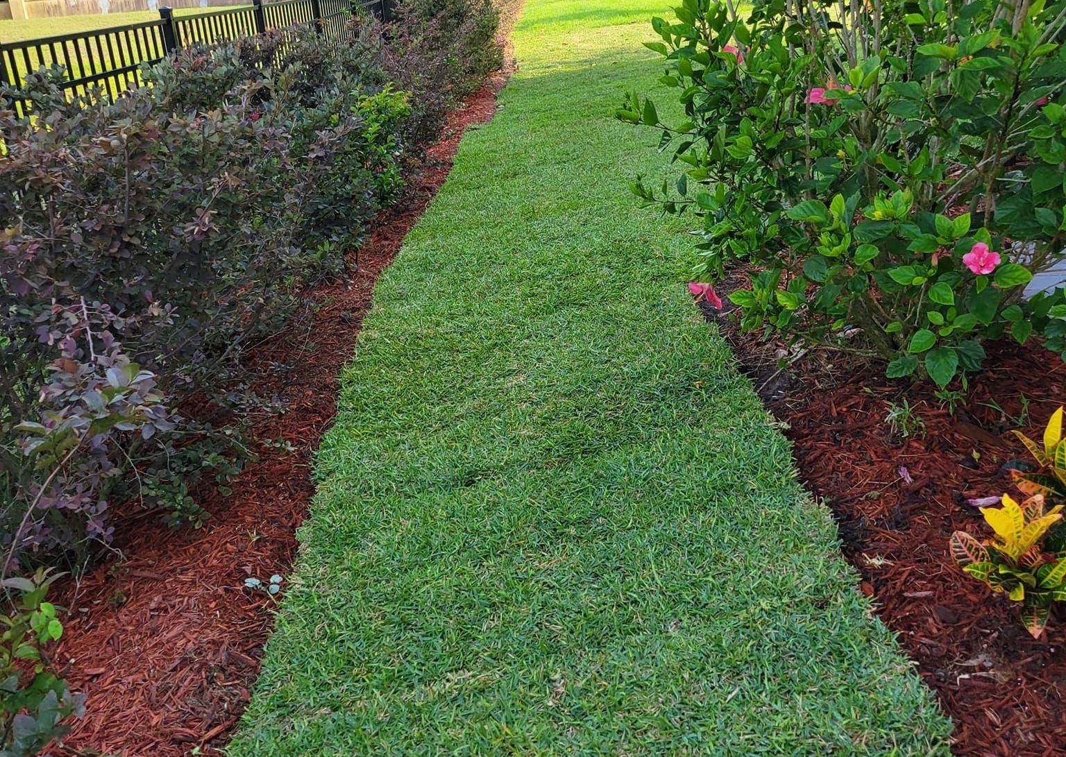 Sod Installation in Mt Dora, FL